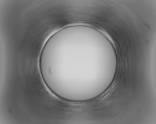 X0000113750813200909231004