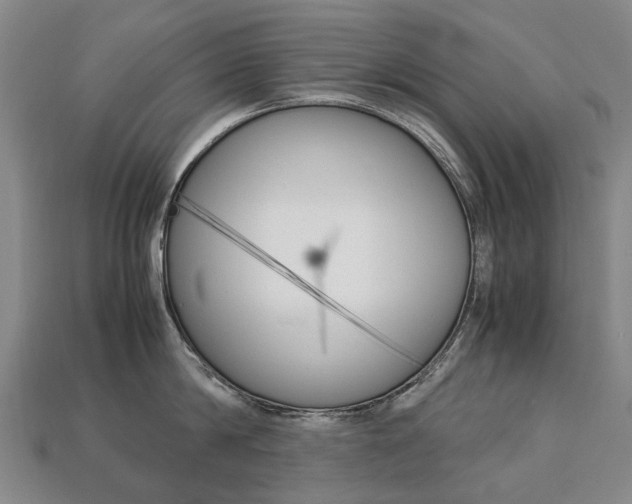 X0000113750814200909231004