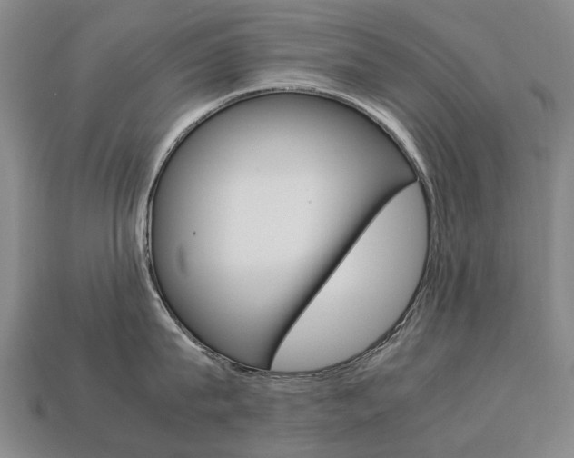 X0000113750815200909231004