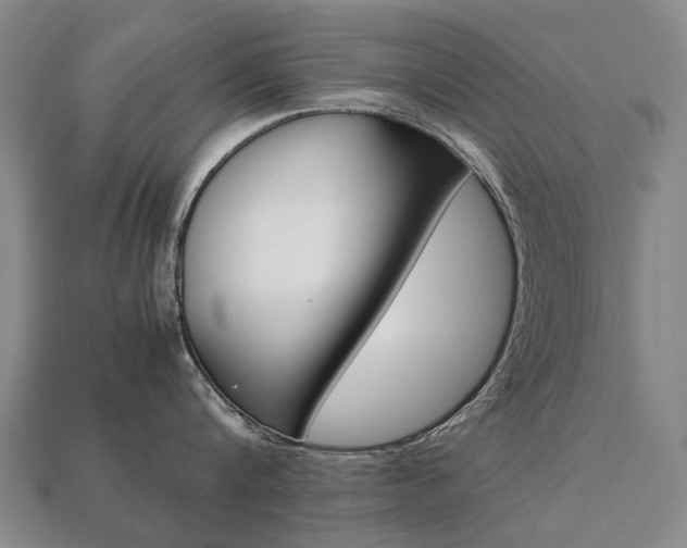 X0000113750816200909231004