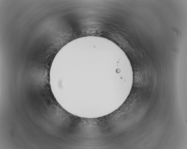 X0000113750820200909231004