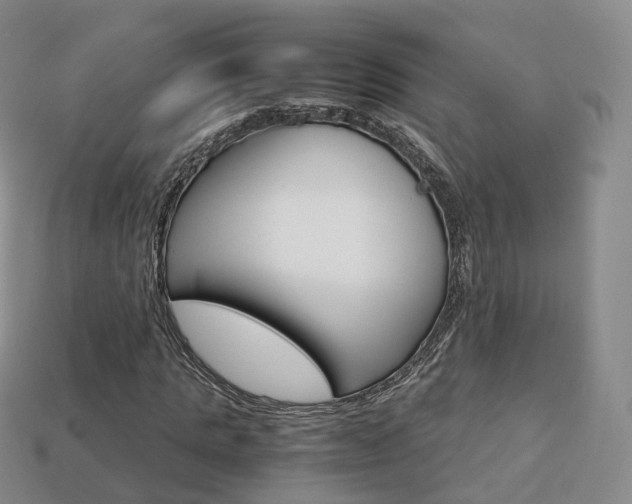 X0000113750821200909231004