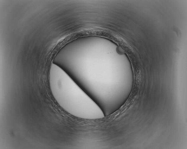 X0000113750822200909231004