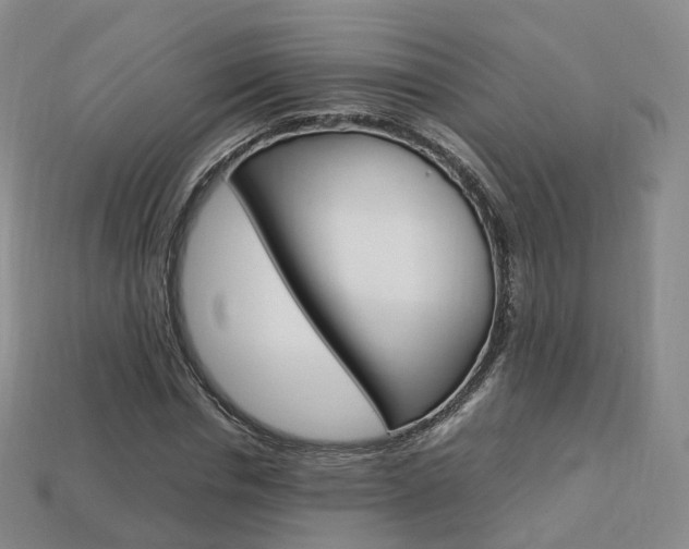 X0000113750826200909231004