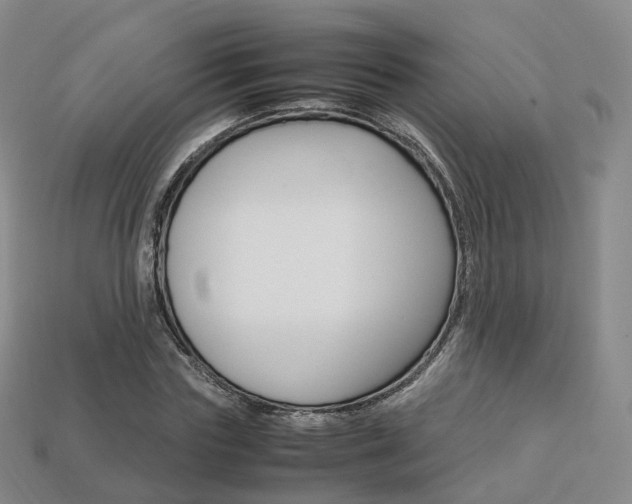 X0000113750827200909231004