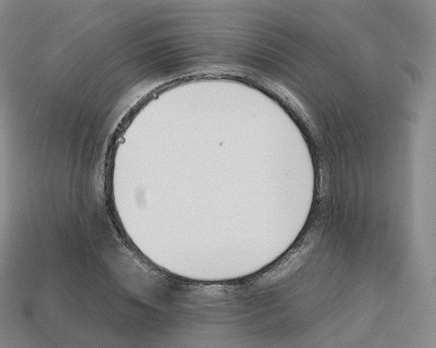 X0000113750828200909231004