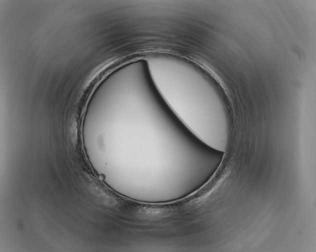 X0000113750829200909231004