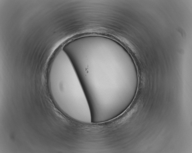 X0000113750830200909231004