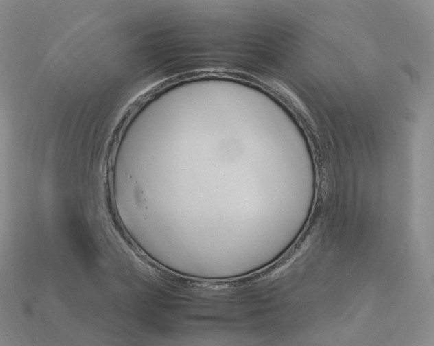 X0000113750831200909231004