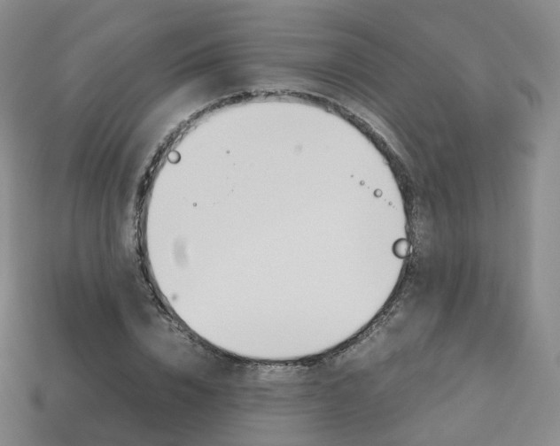 X0000113750832200909231004