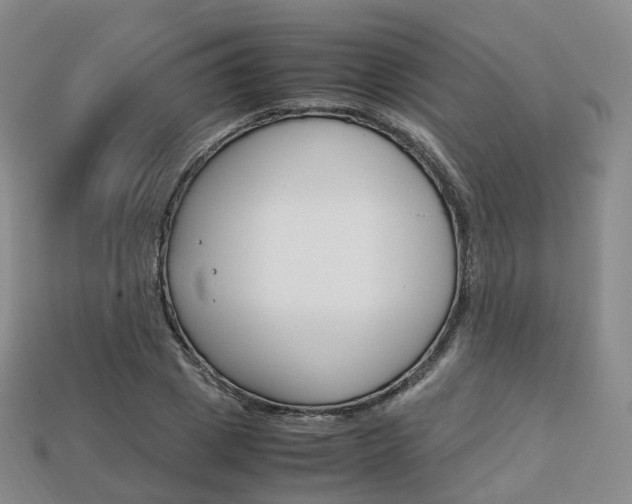 X0000113750833200909231004
