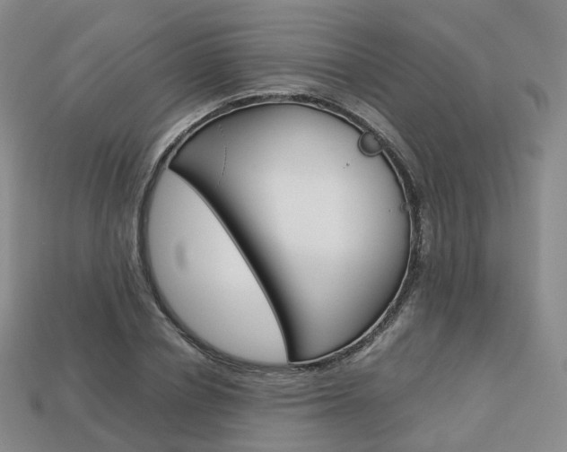 X0000113750834200909231004