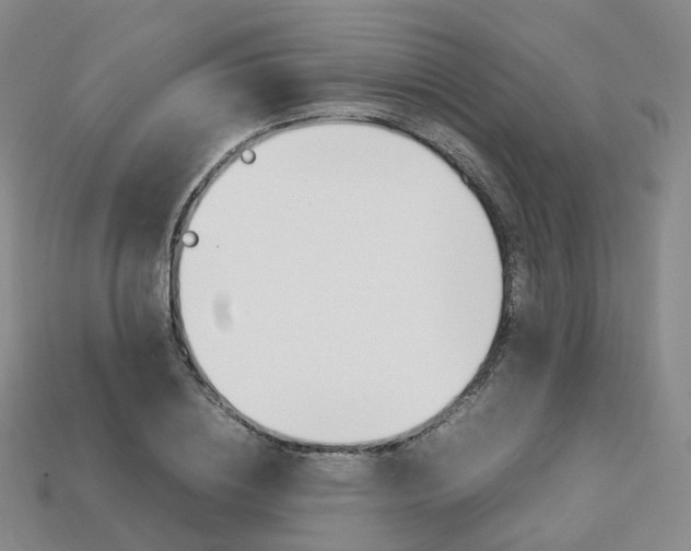 X0000113750836200909231004