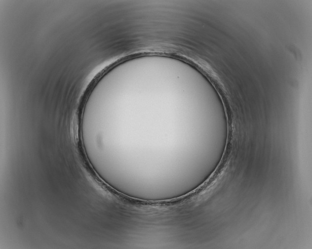 X0000113750838200909231004