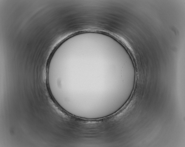 X0000113750839200909231004