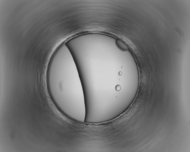 X0000113750840200909231004