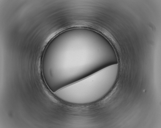 X0000113750842200909231004