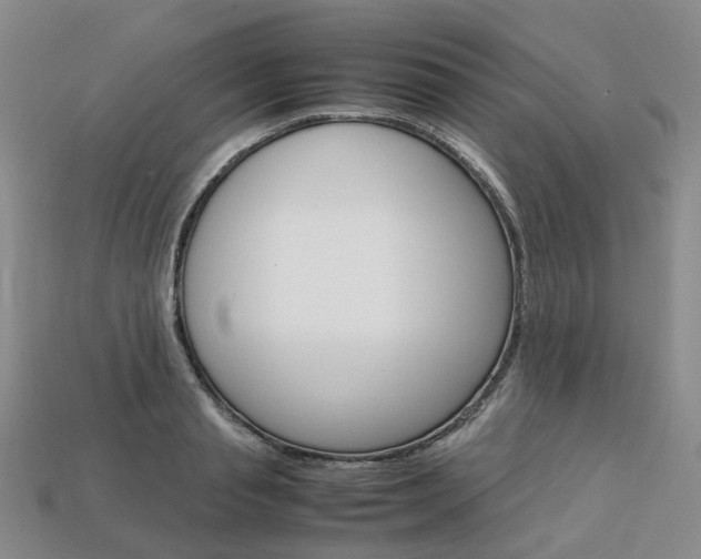 X0000113750845200909231004