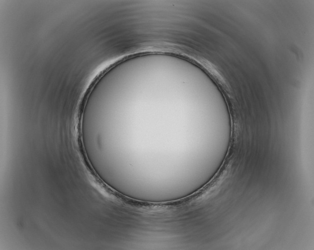 X0000113750846200909231004