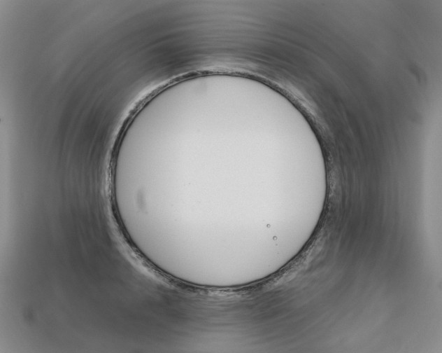X0000113750848200909231004
