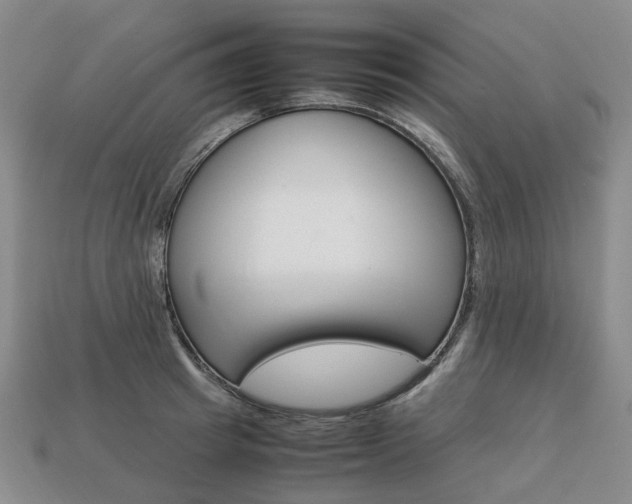 X0000113750849200909231004