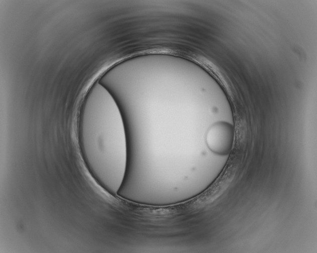 X0000113750851200909231004