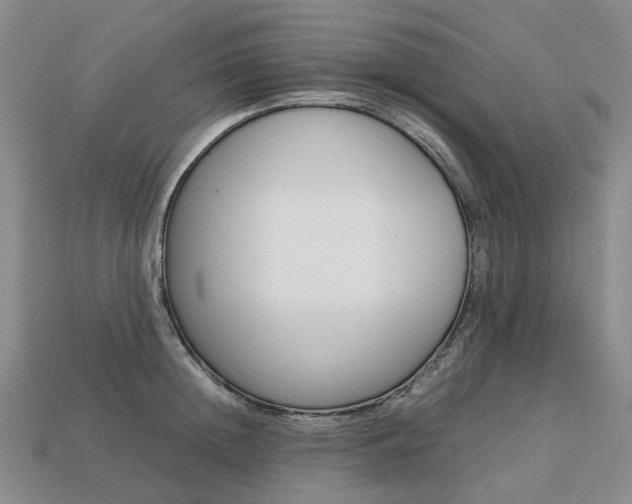 X0000113750852200909231004