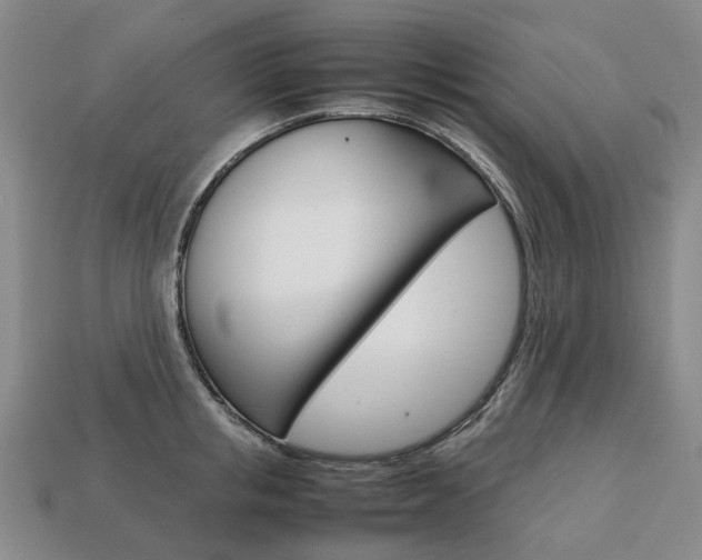X0000113750853200909231004