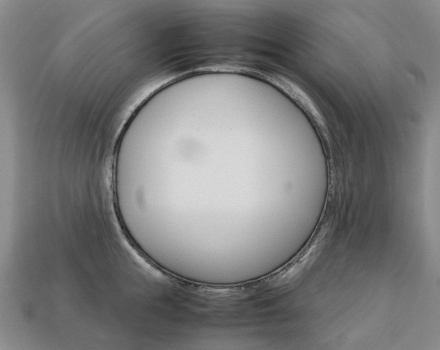 X0000113750855200909231004