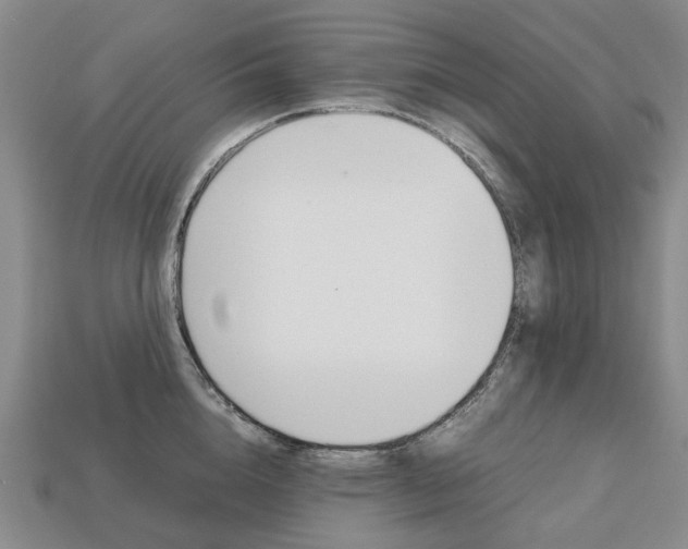 X0000113750856200909231004