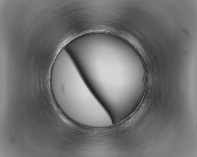 X0000113750858200909231004