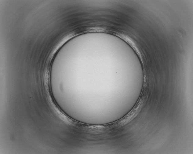 X0000113750859200909231004