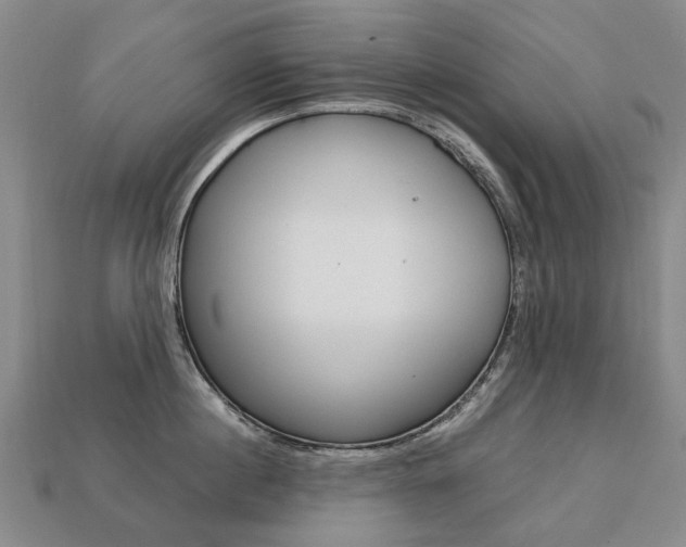 X0000113750860200909231004