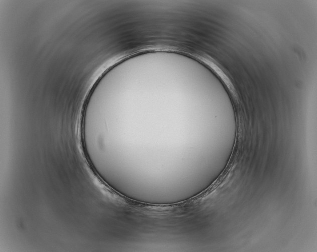 X0000113750861200909231004