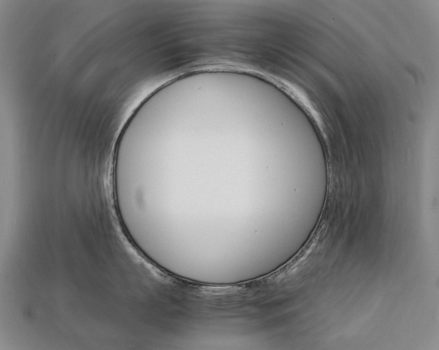 X0000113750863200909231004