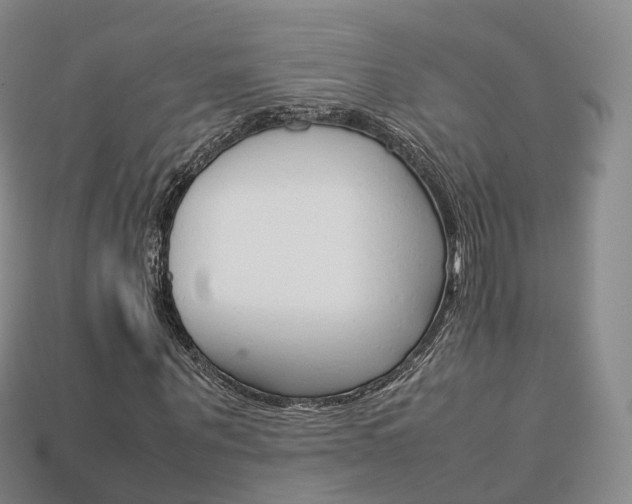 X0000113750867200909231004