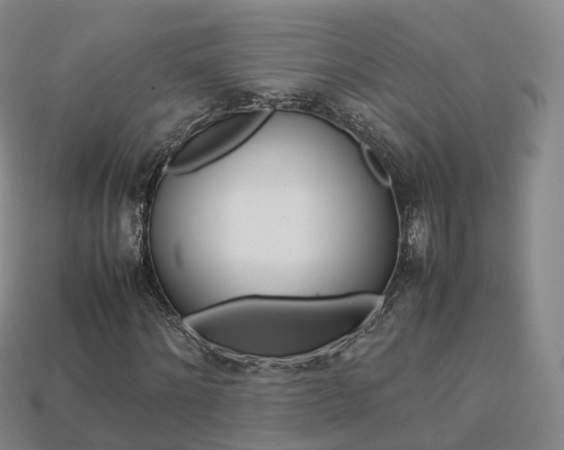 X0000113750868200909231004
