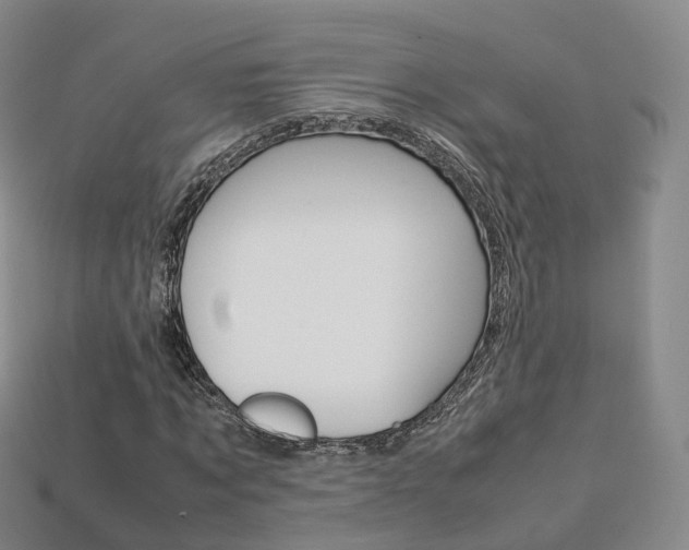X0000113750869200909231004