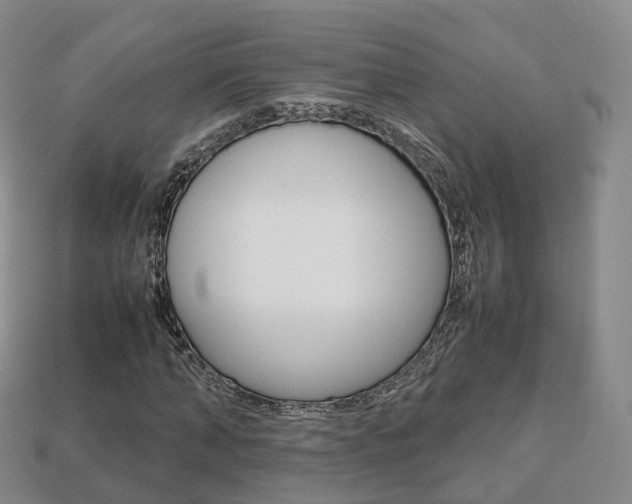X0000113750870200909231004