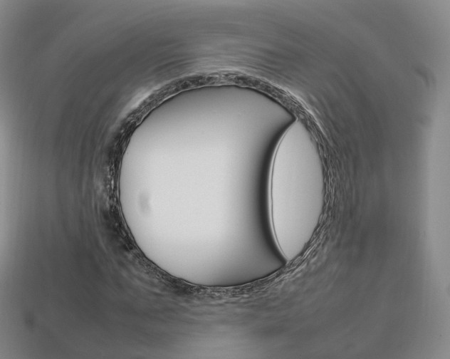 X0000113750871200909231004