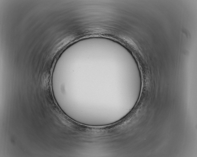 X0000113750873200909231004