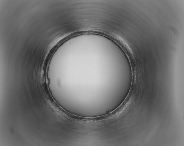 X0000113750876200909231004