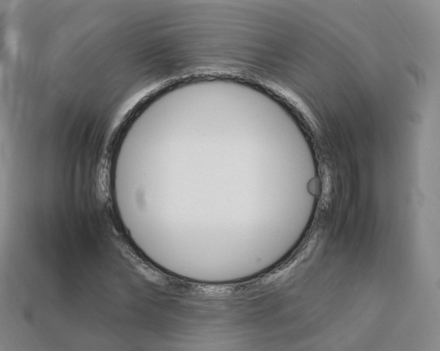X0000113750878200909231004