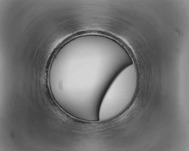 X0000113750879200909231004