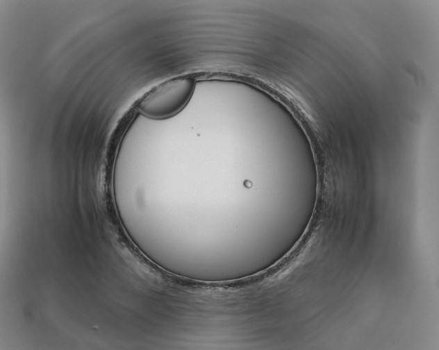 X0000113750880200909231004