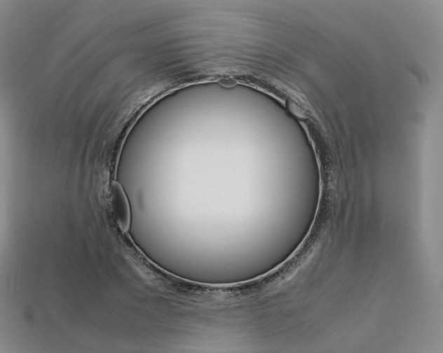 X0000113750881200909231004