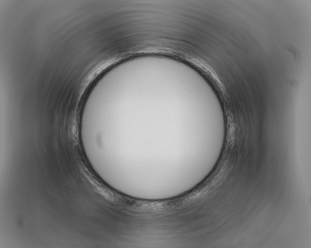X0000113750882200909231004