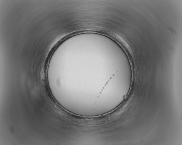 X0000113750883200909231004