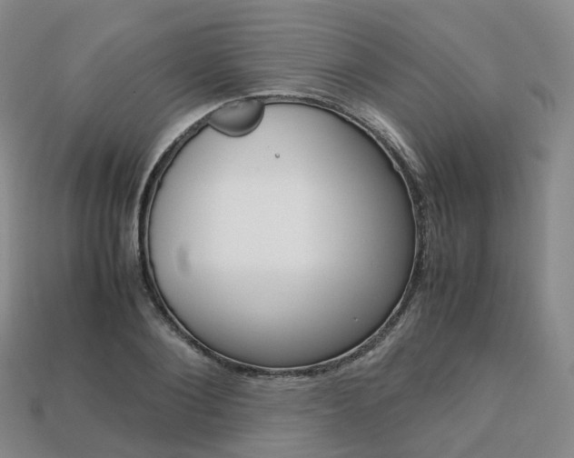 X0000113750884200909231004