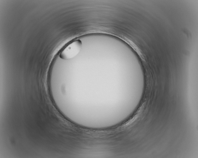 X0000113750885200909231003